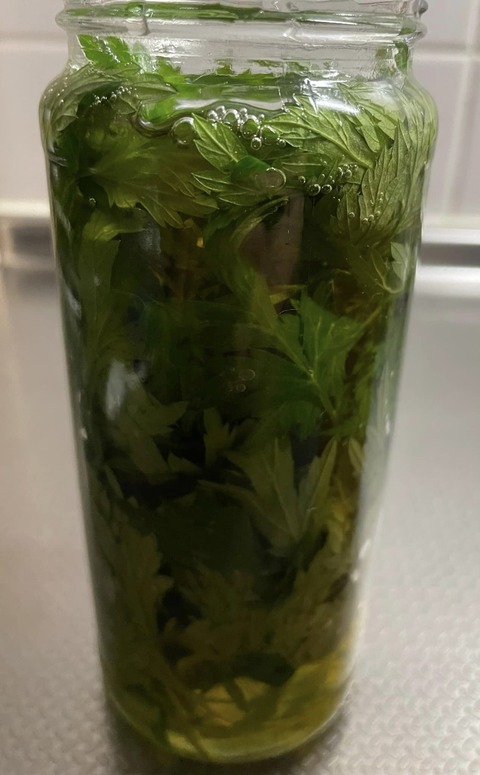 440751995_7563286293751097_4980774173309242984_n