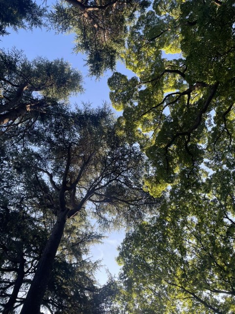 523940130_24209159252070539_4854390605040300540_n