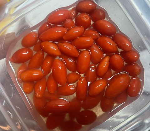 578552686_25140575108928944_117752003475109080_n