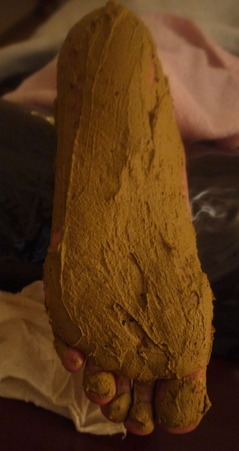 P1390088