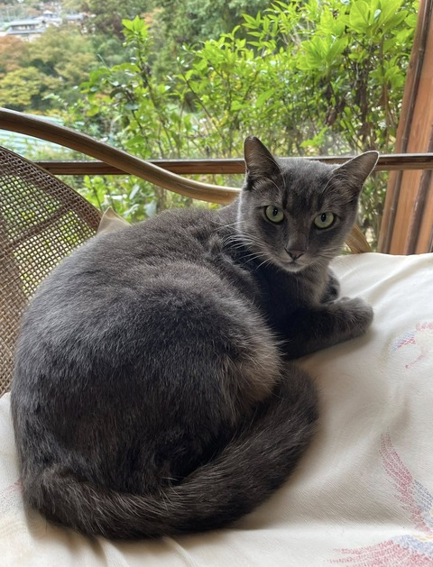 574565810_25112305308422591_586820664363677985_n