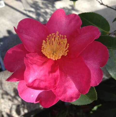 4b6080f9.jpg