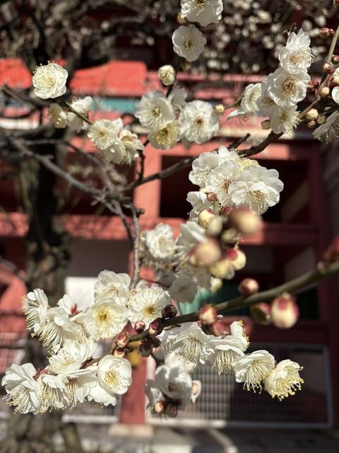 619119607_25716135574706225_7203917772977101352_n