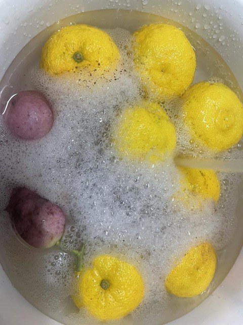 578203923_25140576492262139_52774676182371044_n