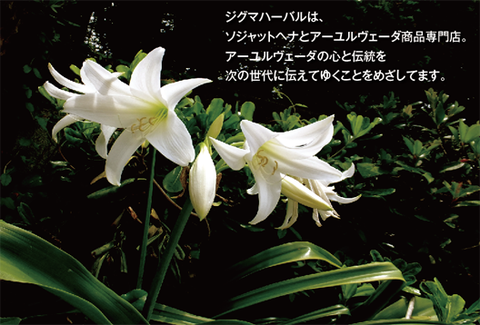 b8e9551e-s
