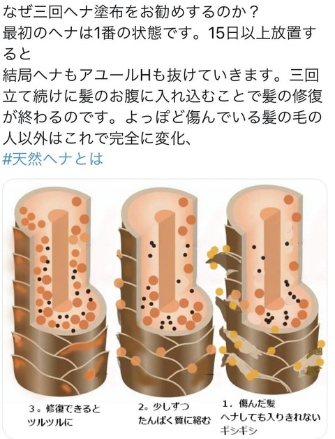 318211688_5776577599088651_6711819505317993866_n