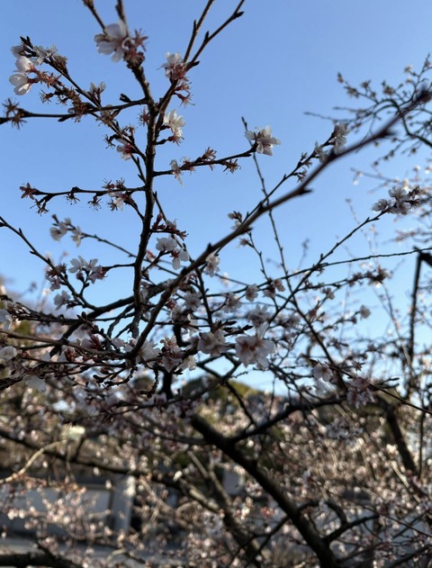 623417368_25789649587354823_616893032206196530_n