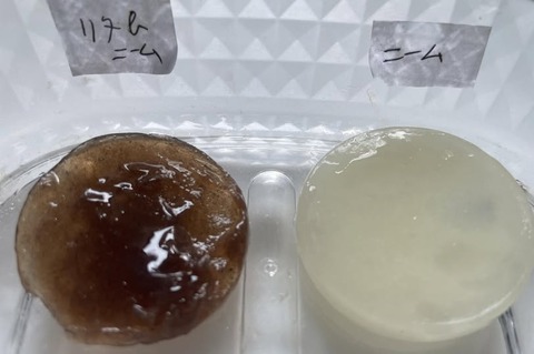 537960844_24443502245302904_5982948868897767301_n