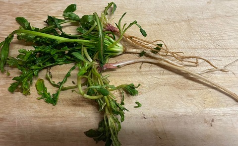 426489639_313815007866860_2680121311275444010_n