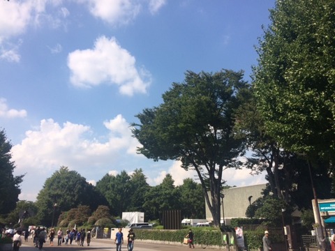 57c7db80.jpg
