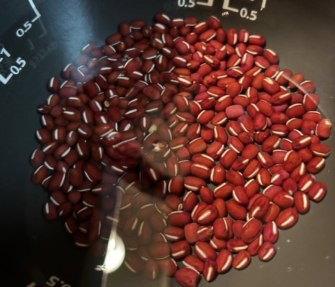 598038969_25453606630959122_5150806264086923841_n