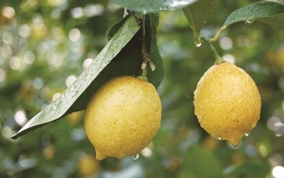 107･・筵ﾊｲｫ｡ﾋ_ｼｮ