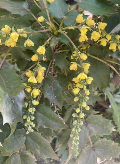 482130587_9412198808859827_5186976462496966835_n