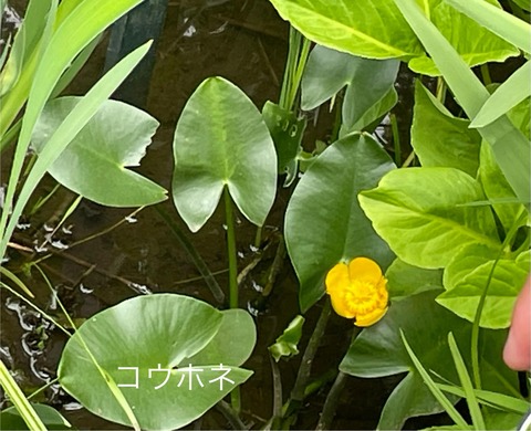 443859292_7641143959298663_8707267360893257067_n
