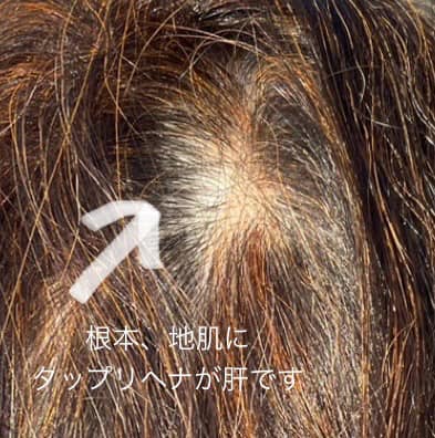 474138886_9138850869527957_8314187180571442945_n