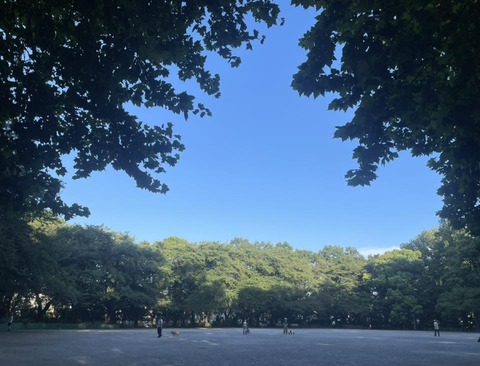 520215886_24209159408737190_6516690912803382366_n