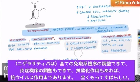 334547737_1376438866459106_2325740153711330338_n