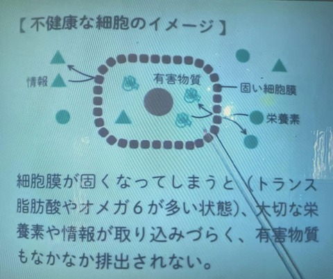 367740890_6580295995383470_5836641411416876520_n