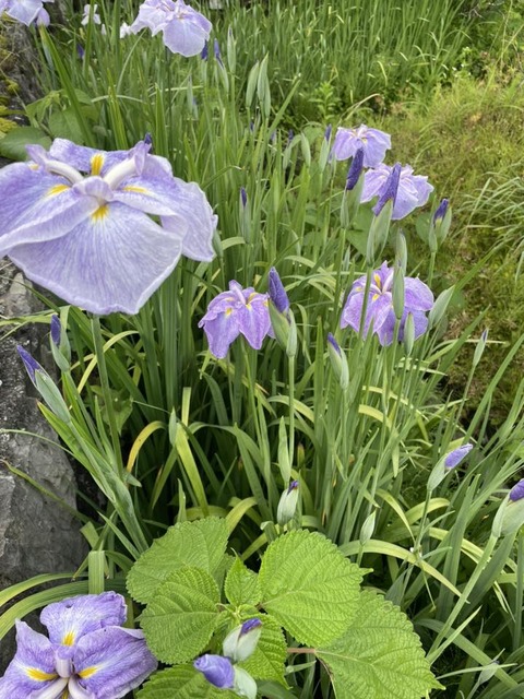 504728994_10052911378121897_6511371305839033725_n