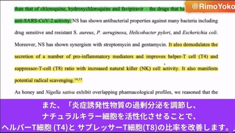 334243346_1300824273844453_1658239164603645954_n