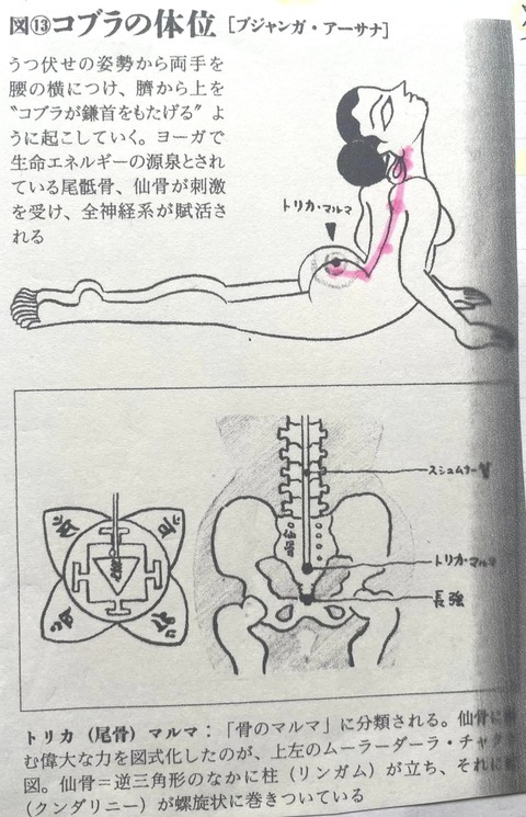 449216334_7859475967465460_3506914814954268982_n