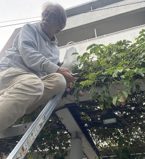 577784467_25140573998929055_950879192824267837_n