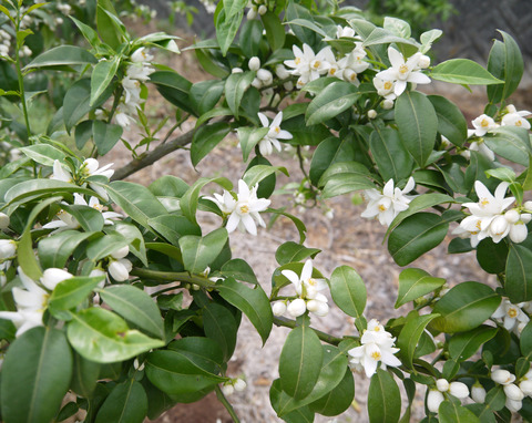 P1300616