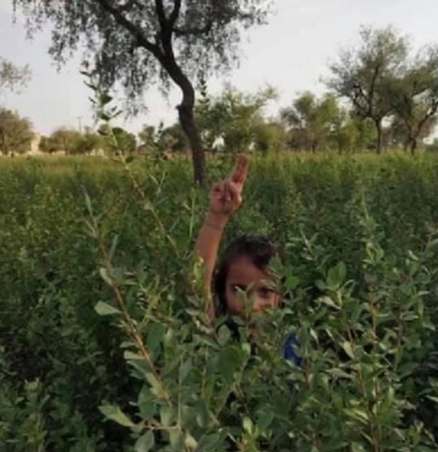 256362903_4556738347739255_4598261699149544260_n