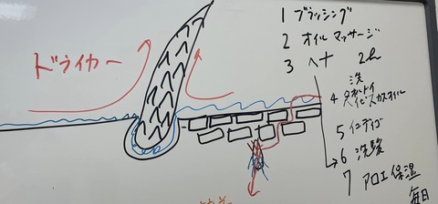 318224403_5776577932421951_6907769934806575870_n