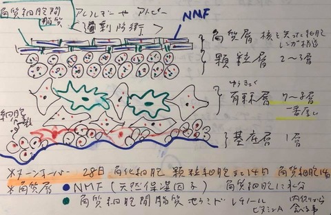 95064251_2931792020233904_6170603544505221120_n