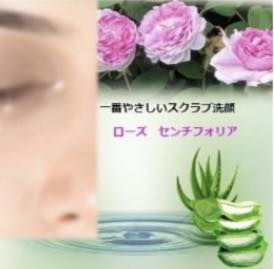 539394123_24476773261975802_2490540314415893872_n