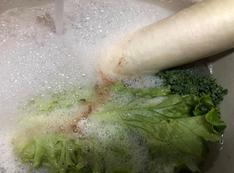 215588146_4163989000347527_4283776647008109450_n