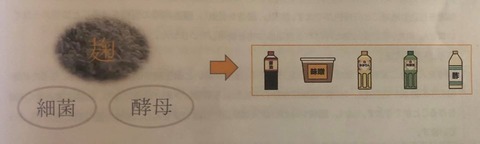 84653493_2764803600266081_6771203752473919488_o