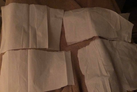 54353512_2137368906342890_8699443733923364864_n