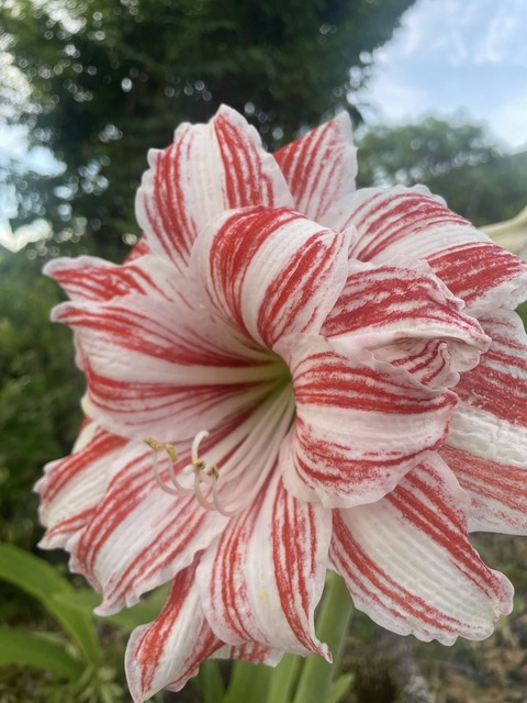 504193423_10052913438121691_9010010815066420956_n