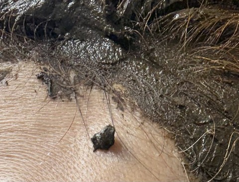 608734018_25599392176380566_1815810050456388516_n