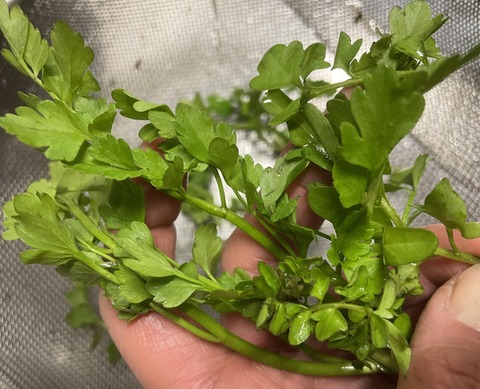 431529238_1078425096844252_7363868664196830135_n