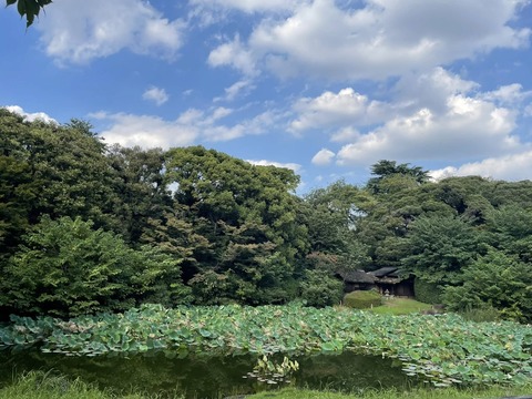 554820828_24723225103997282_6664017323565357737_n