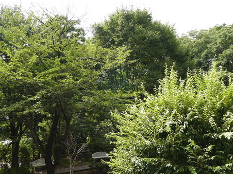 P1400083