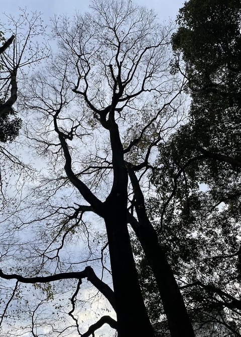 320417586_555794269757813_7117249456210805066_n