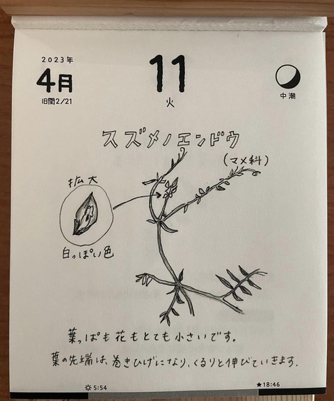 340827821_234118242469933_8618749965273663701_n