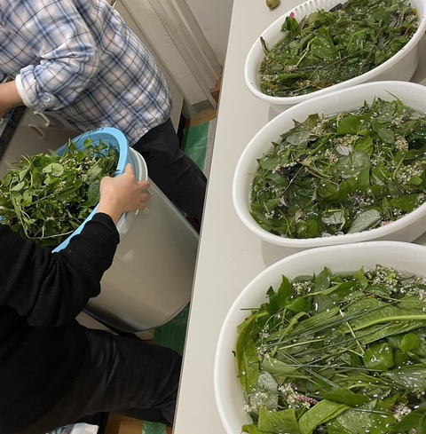 571463024_25004412925878497_3262599928413502882_n