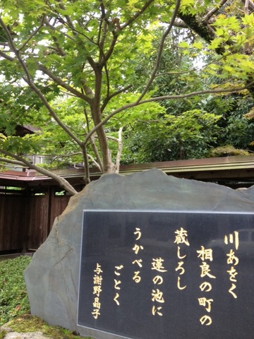73d1d762.jpg