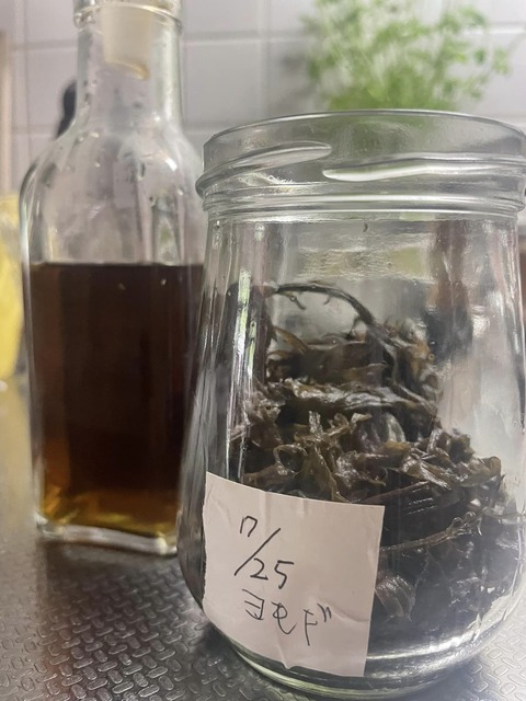 460541279_8377769328969452_6310036561564293154_n