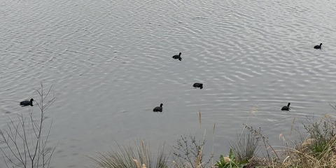 646362840_26123181500668295_8617480158933443810_n