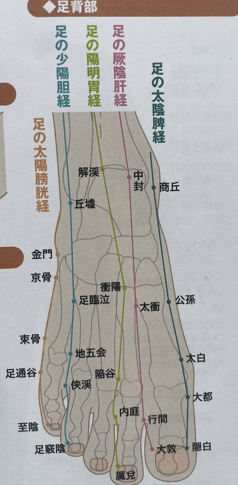 536269807_24416706917982437_9030610635959441097_n