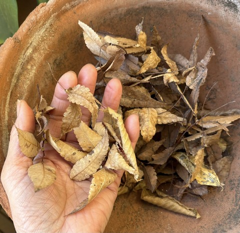 606408417_25560812730238511_6944042068175737768_n