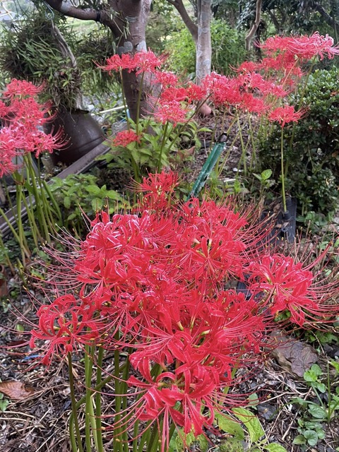 557290126_24779334195053039_6553857157576232043_n