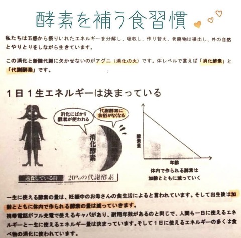335423910_235085965718435_4271285883297858357_n