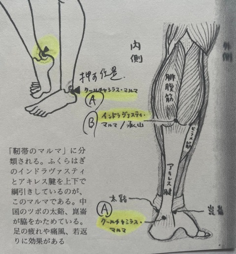 449302307_7859475704132153_3095899824914420481_n
